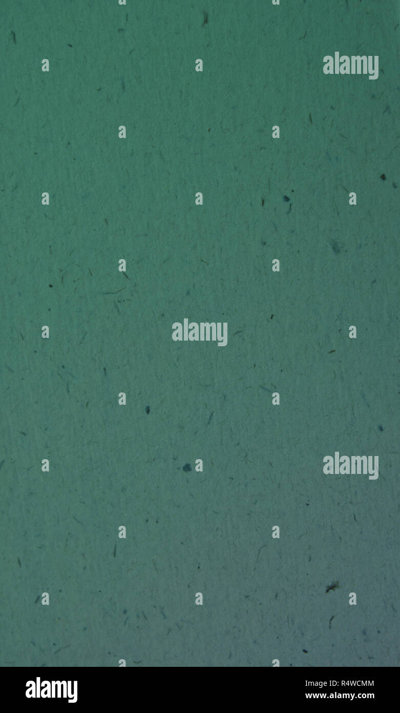 green petrol background texture backdrop pattern frame Stock Photo