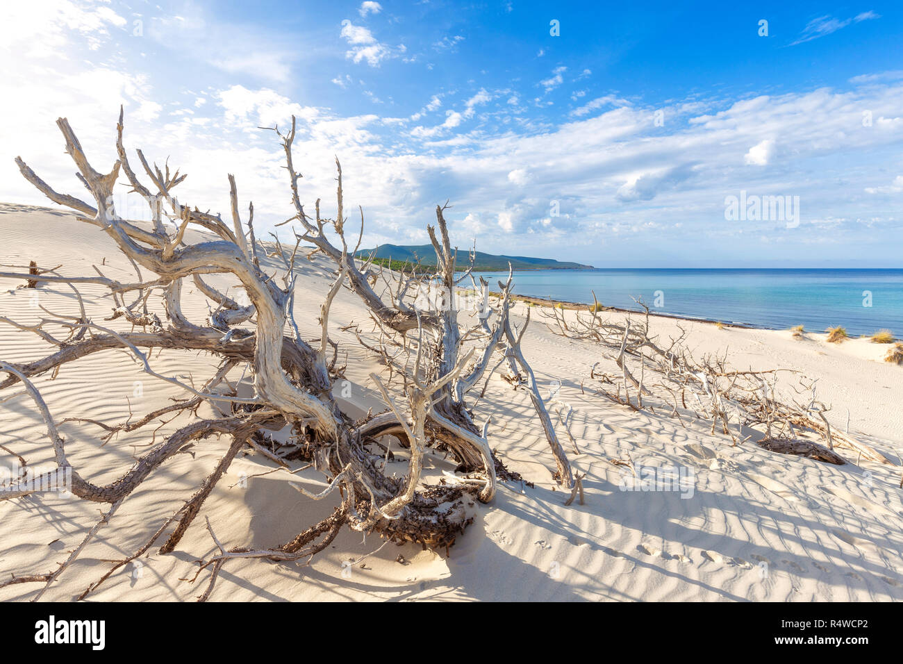 Porto Pino Beach Teulada Cagliari Stock Photos Porto Pino