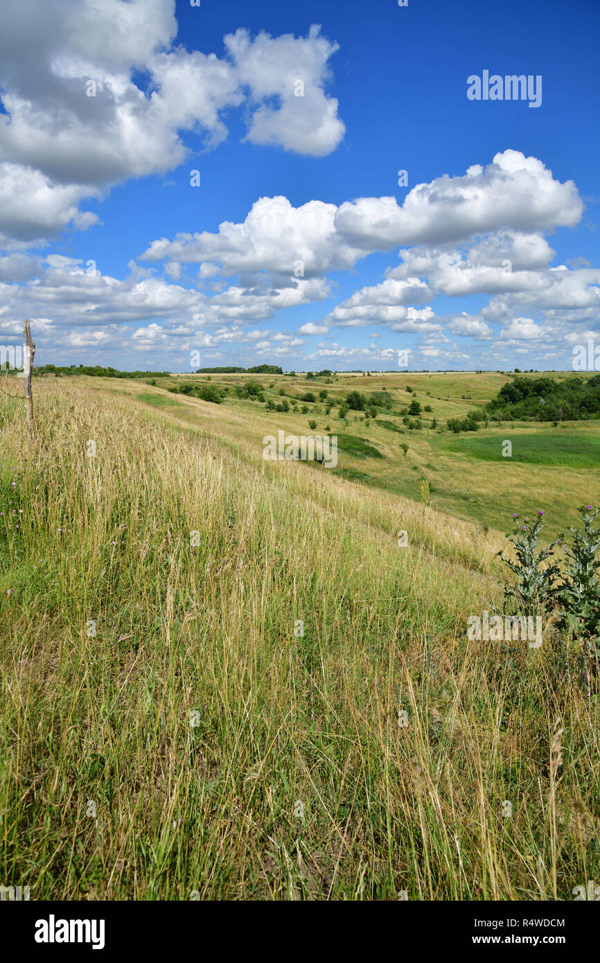 The Beautiful summer country landscape in steppe Stock Photo