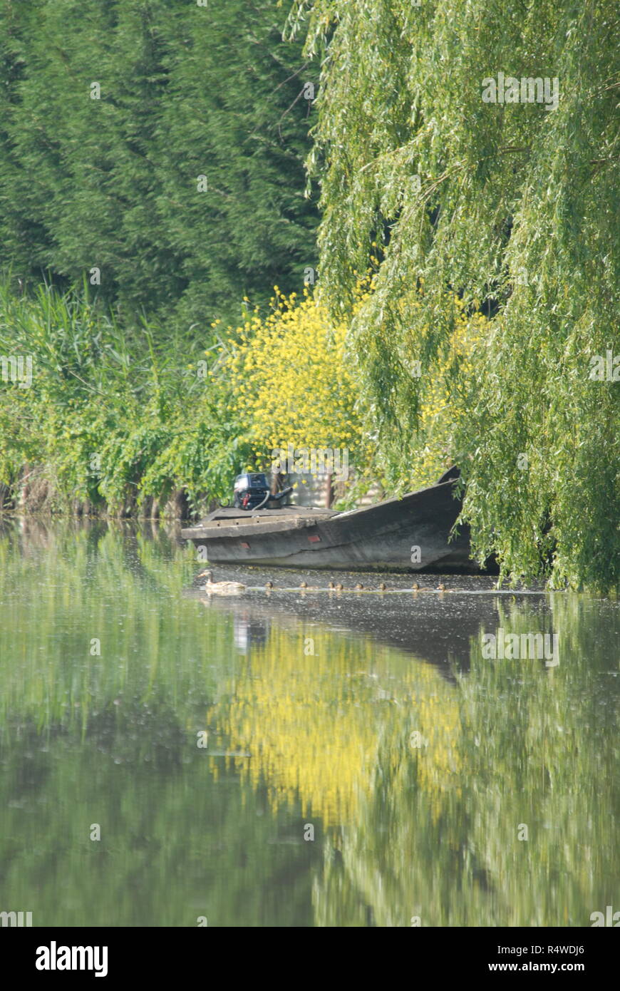 French marsh boat hires stock photography and images Alamy