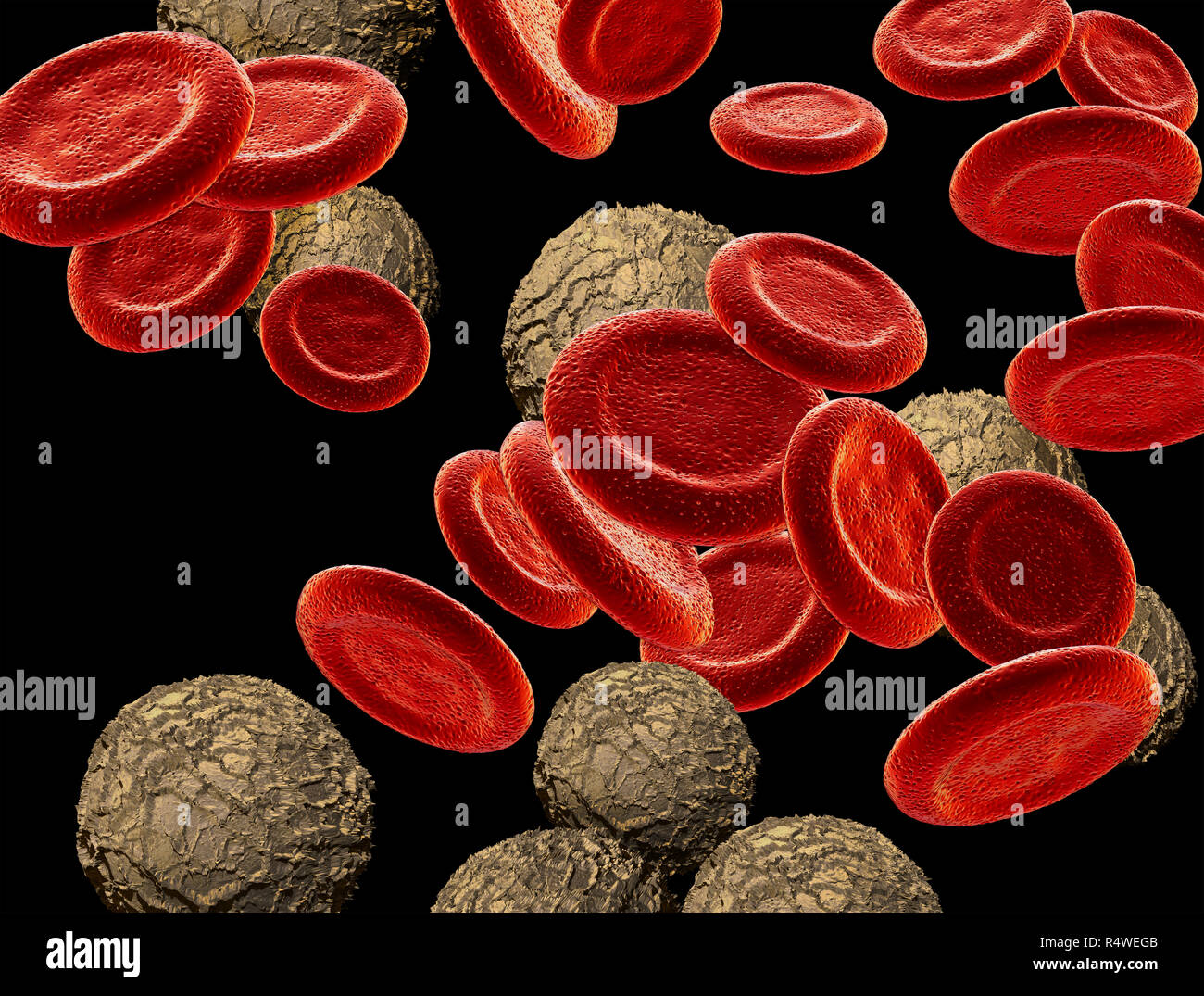 Illustrations red blood cells,white blood cells Stock Photo Alamy