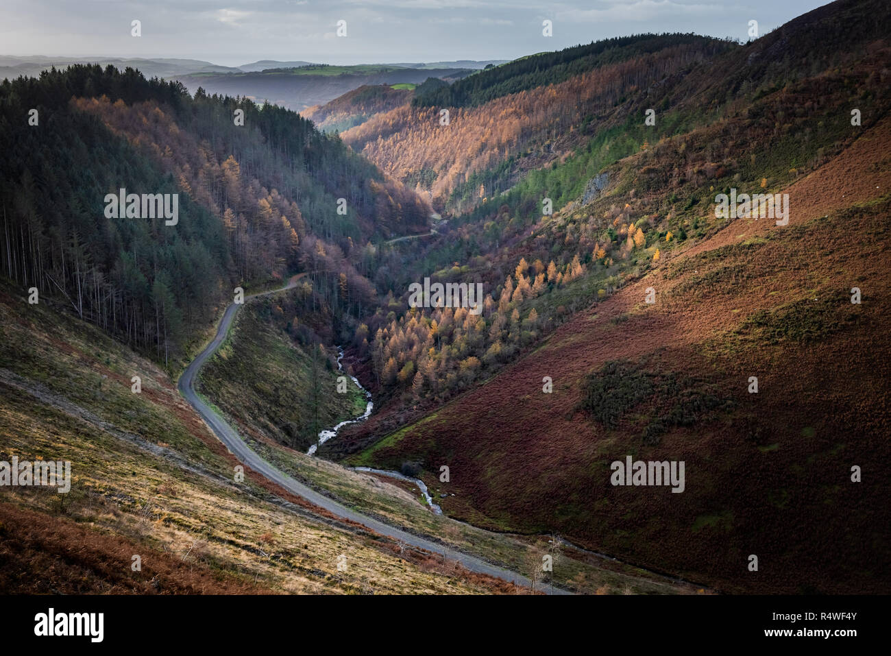 Late Autunm view over the Melindwr valley from Nant yr Arian towards Aberystwyth. Stock Photo