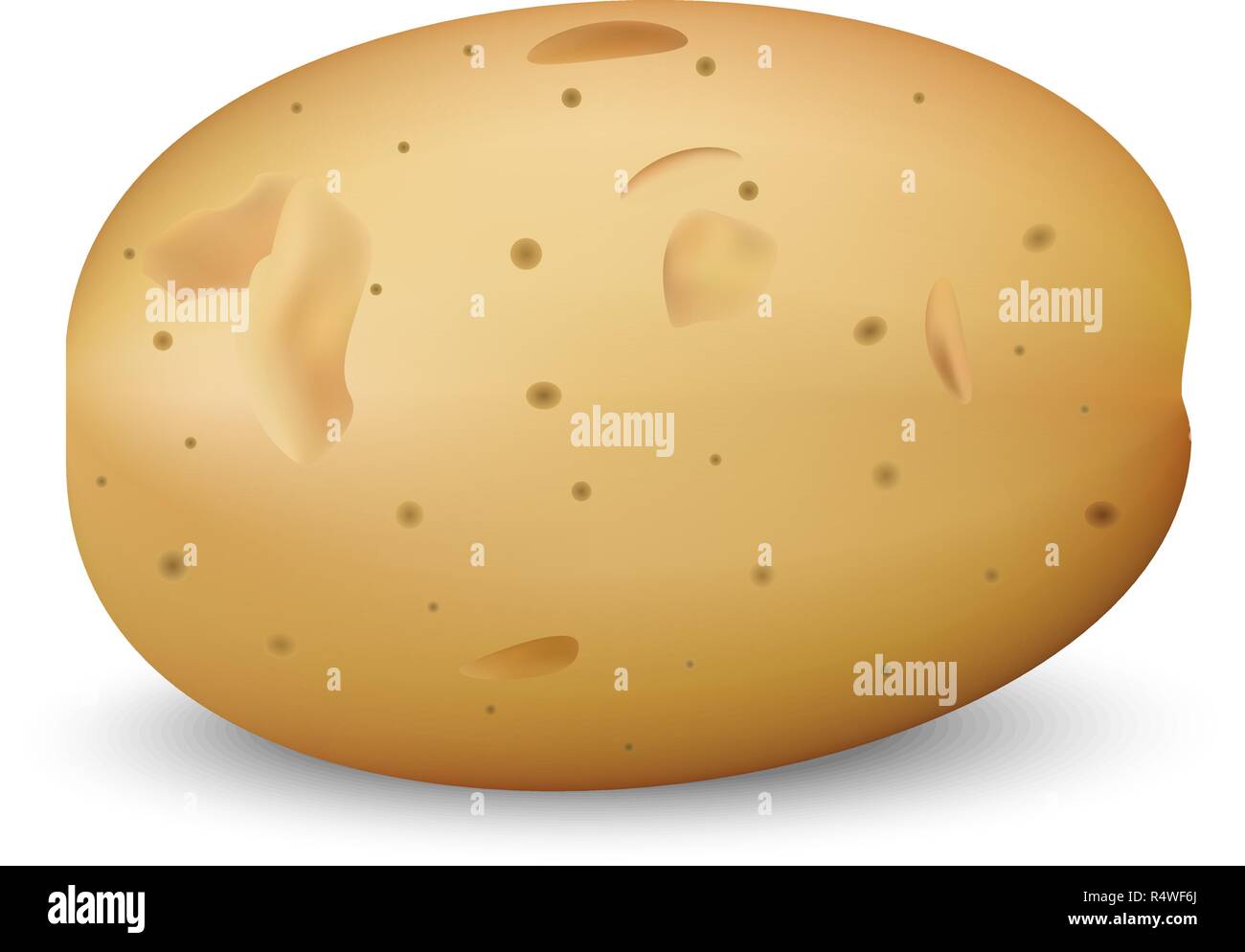 Download Yellow Potato Mockup Realistic Illustration Of Yellow Potato Vector Mockup For Web Design Isolated On White Background Stock Vector Image Art Alamy
