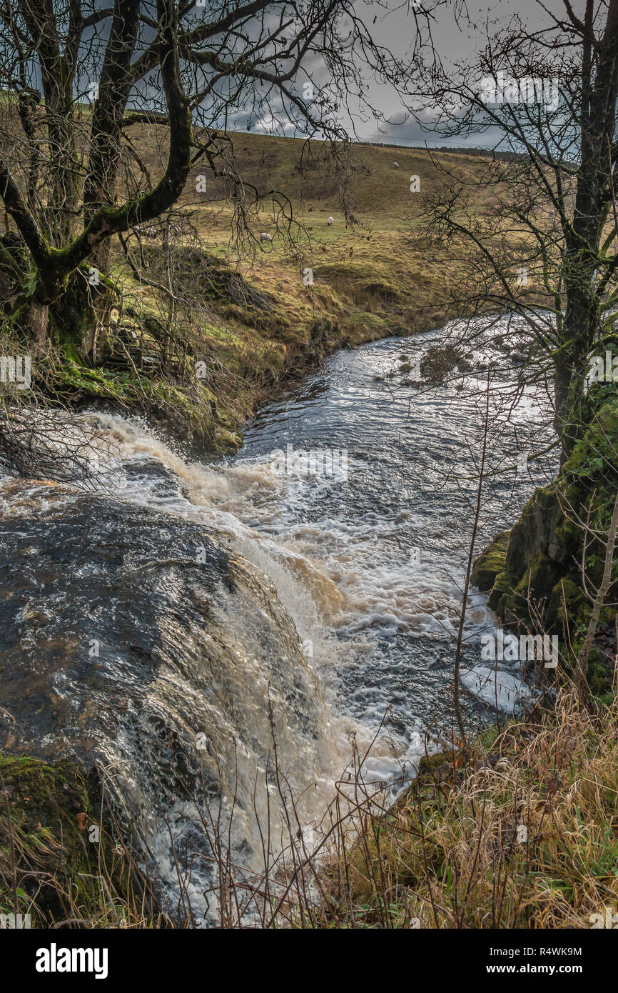 A waterfall and cascade on Langdon Beck, Teesdale, UK backlit by winter sunshine and a dark sky Stock Photo