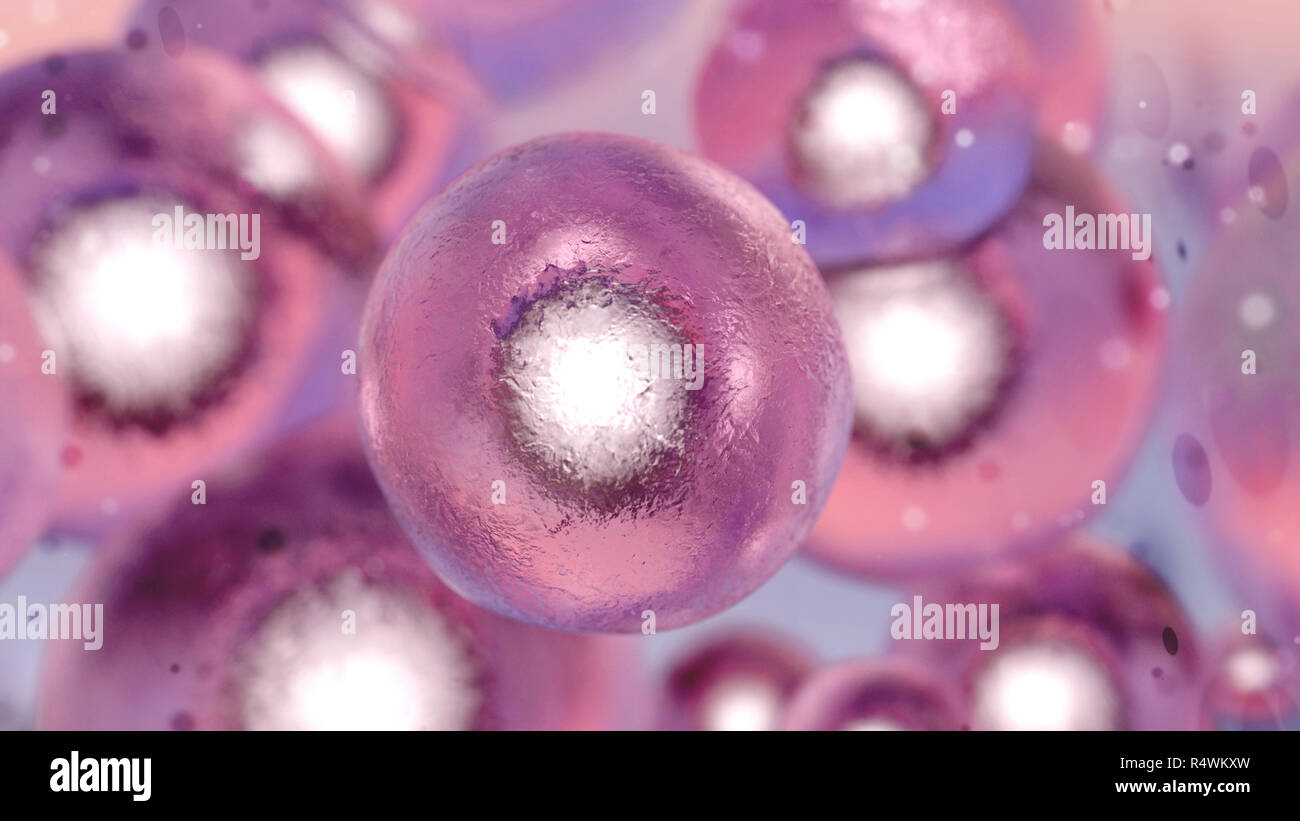 Cells human or animal under microscope. 3d render illustration Stock Photo