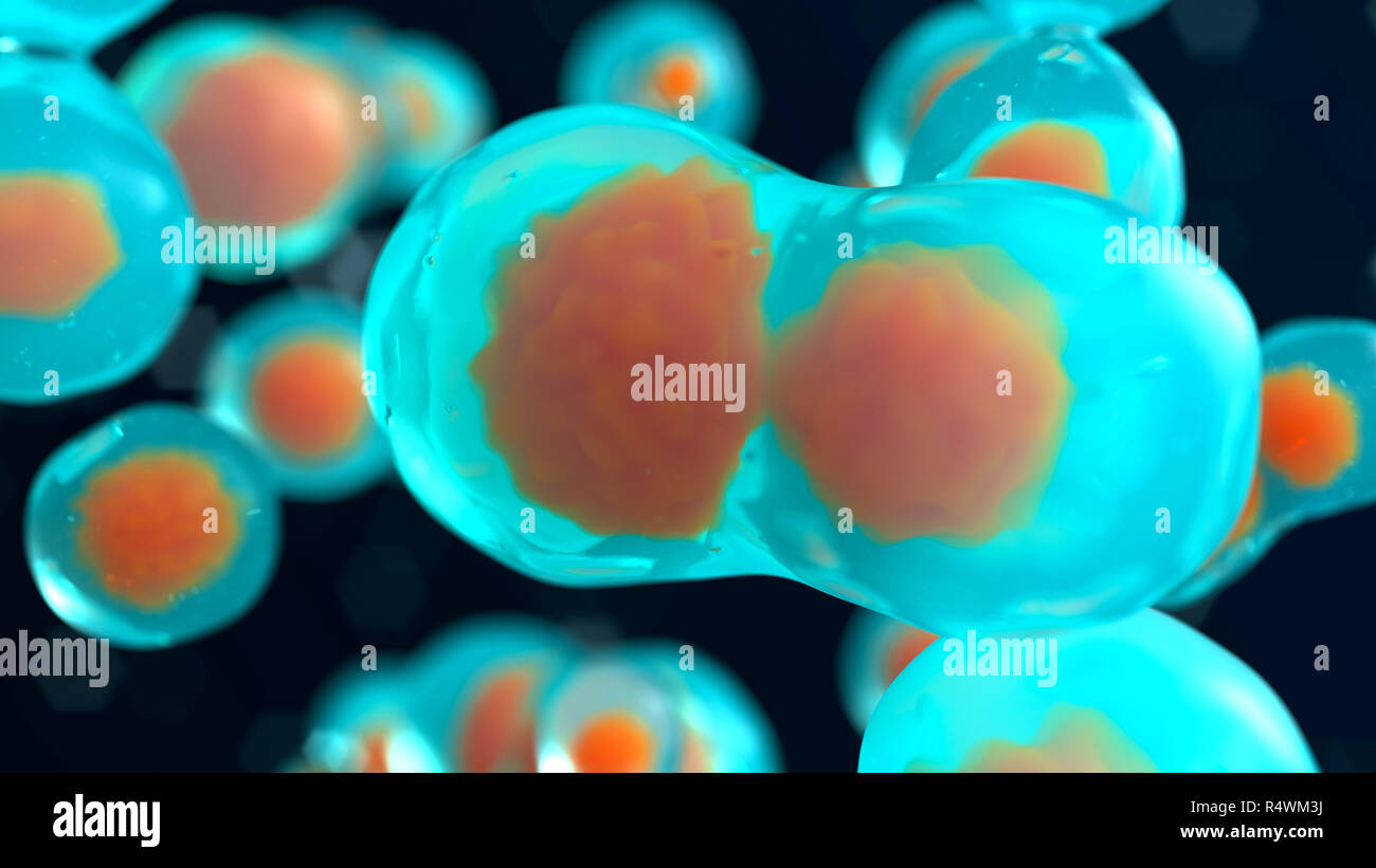 Cells embryo. Mitosis under microscope. 3d render illustration Stock Photo