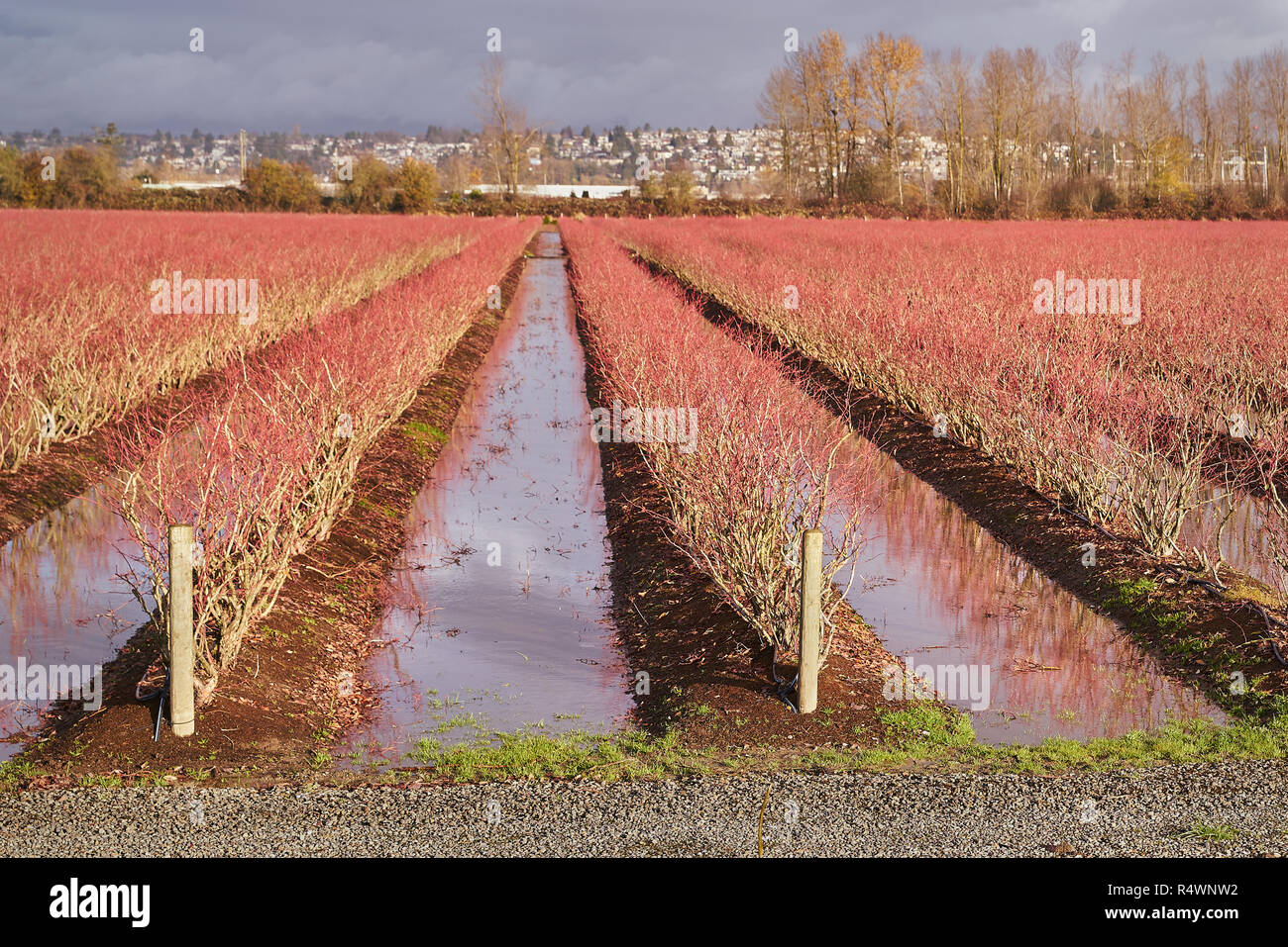 Warming agriculture hi-res stock photography and images - Alamy