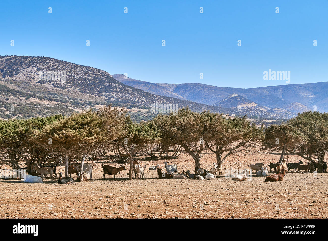 Traditional landscape in Naxos Stock Photo