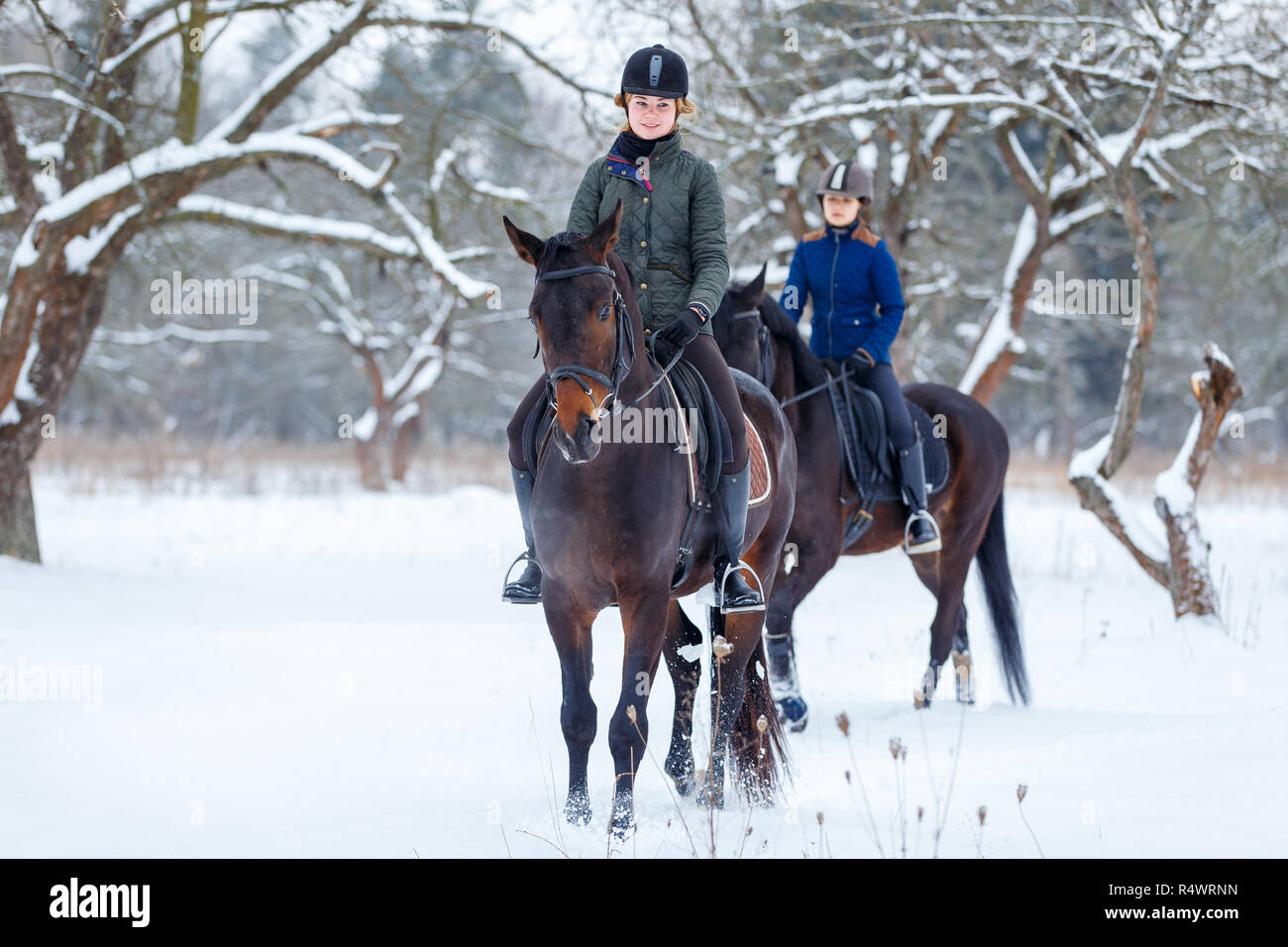 Two young women riding horses in winter park. Stock Photo