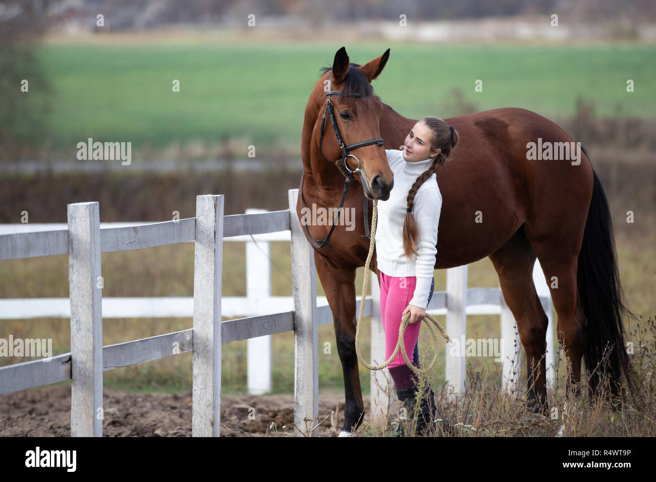 Young girl standing with her bay horse near paddock. Equestrian life concept background Stock Photo
