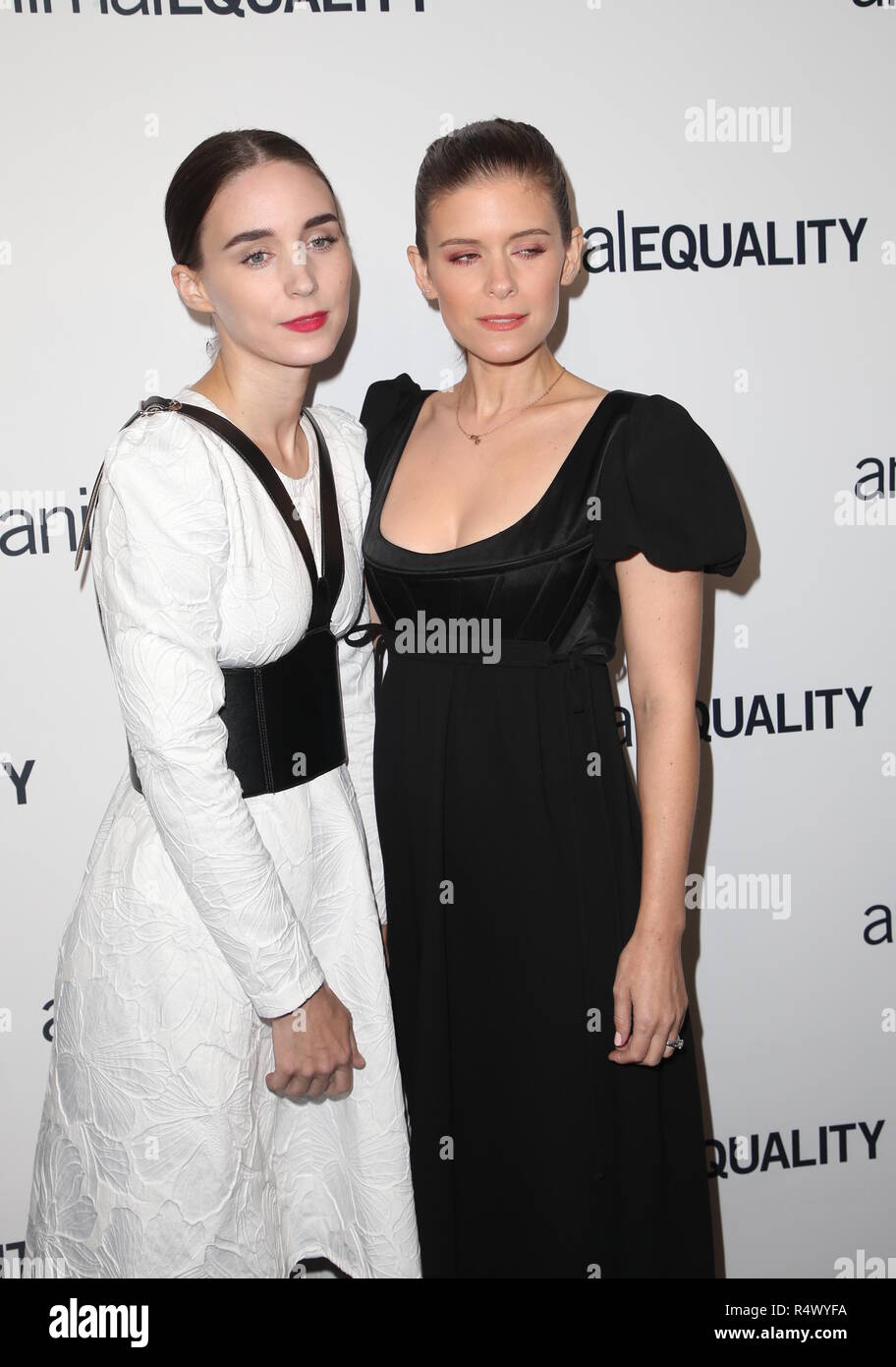 Animal Equality’s Inspiring Global Action Los Angeles Gala - Arrivals