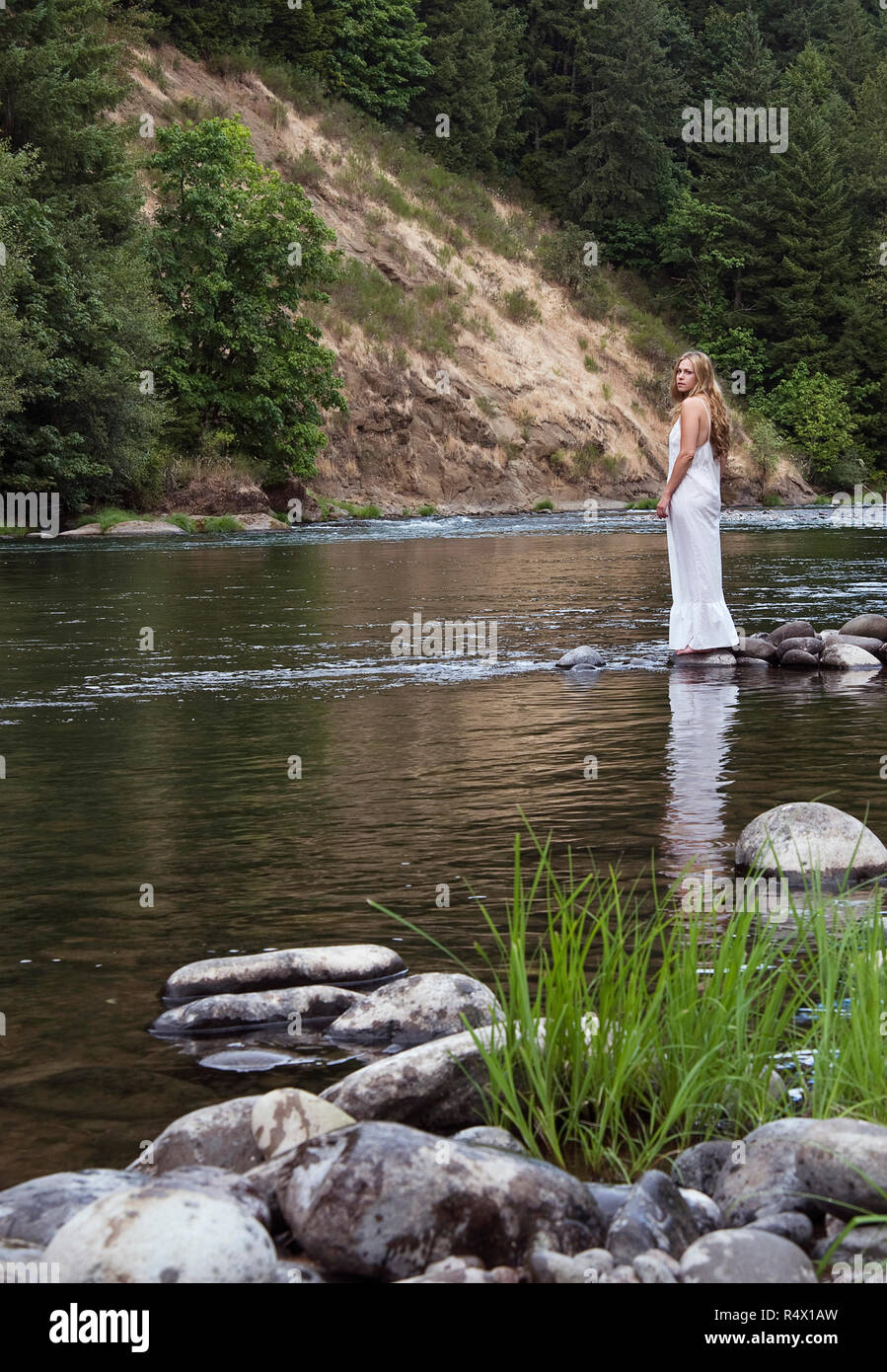 Tree standing in the river water hi-res stock photography and images ...