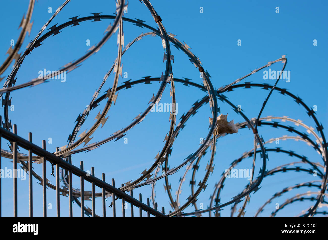 Barbed wire fence on blue sky background Stock Photo - Alamy