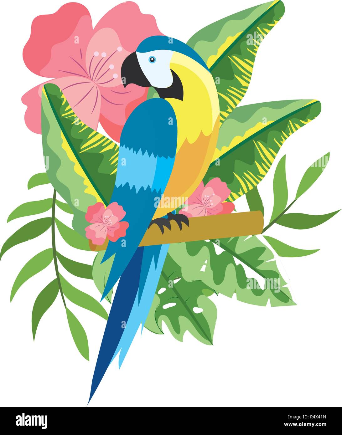 cute tropical parrot cartoon vector illustration graphic design Stock  Vector Image & Art - Alamy