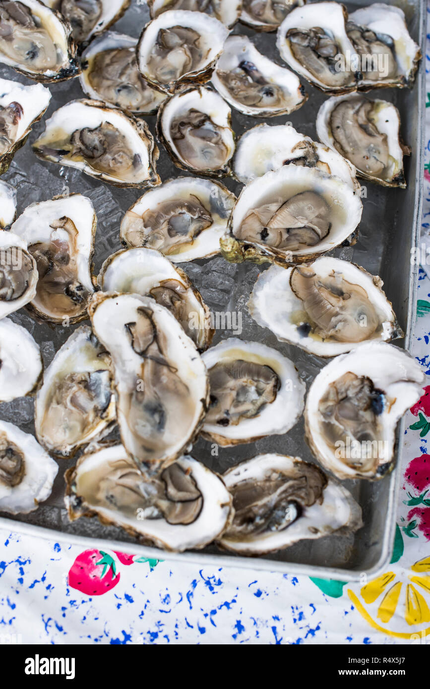 Oysters on the half shell Stock Photo