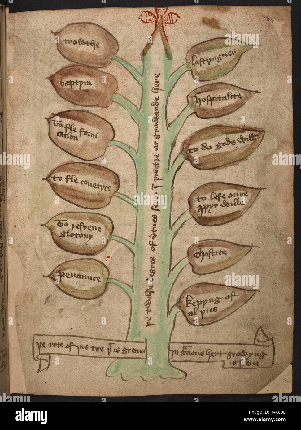 An illustration of a tree with text written on the leaves. The healthy ...
