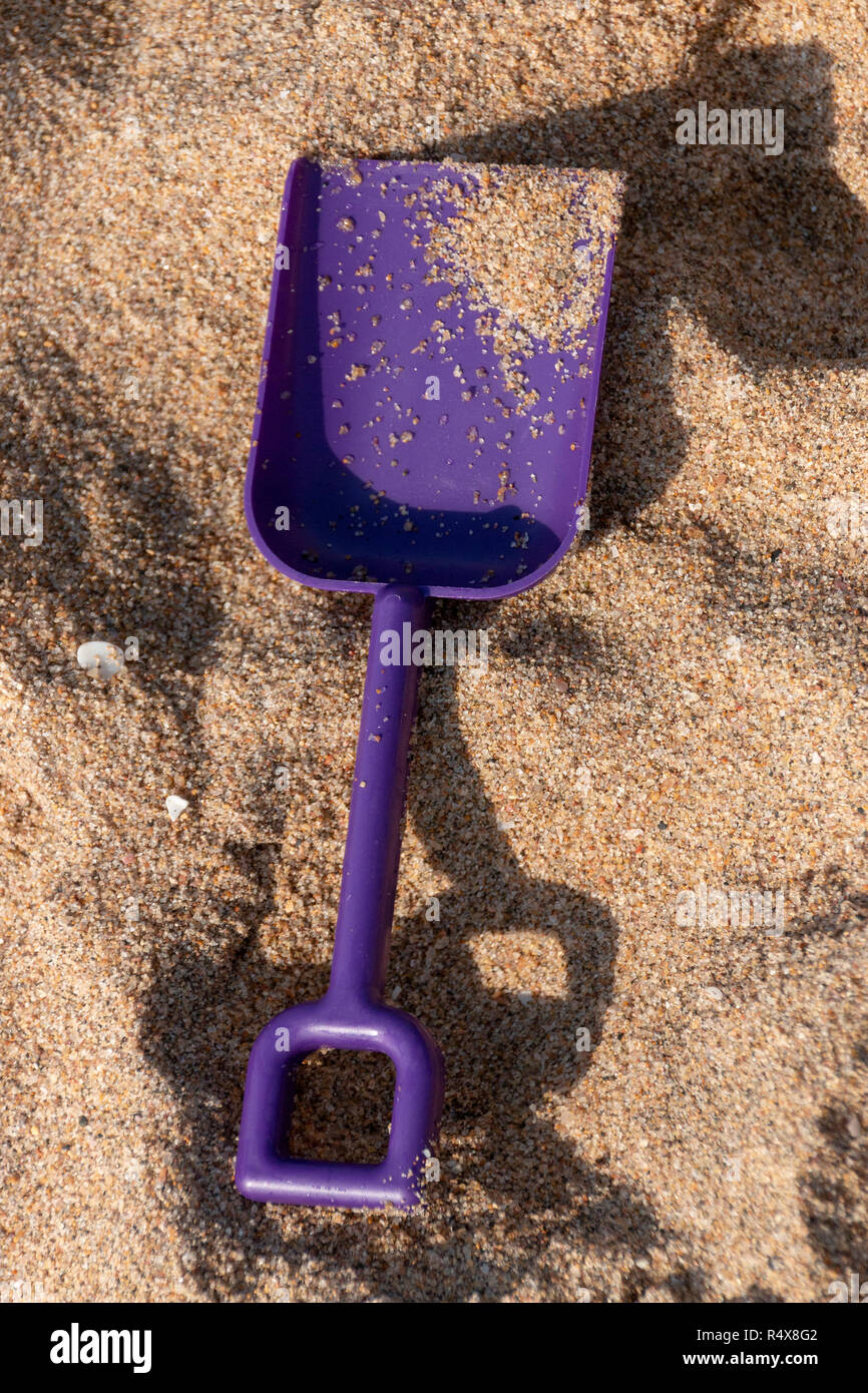 A close up view of a small purple spade in the beach sand on a ...