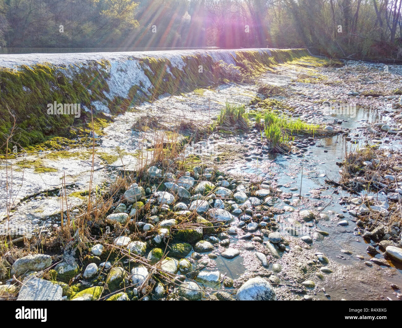 The Naviglio Langosco artifical canal dyke during spring at sunser, with moss, pebbles and puddles in backlight, in Ticino reserve, Galliate, Italy Stock Photo