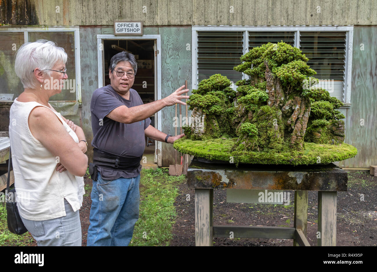 Kurtistown, Hawaii - The Fuku-Bonsai Cultural Center, a bonsai nursery and educational center. Michael Imaino shows a creation to a visitor. Stock Photo