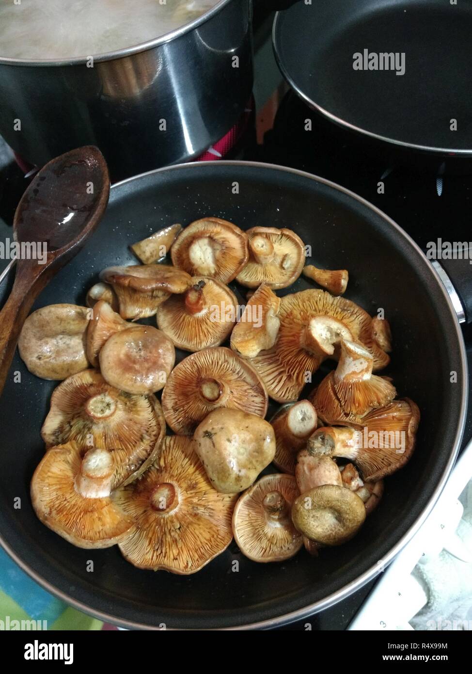 Some saffron milk cap mushrooms (Lactarius deliciosus), very similar to Lactarius sanguifluus and Lactarius deterrimus, cooked in an frying pan Stock Photo