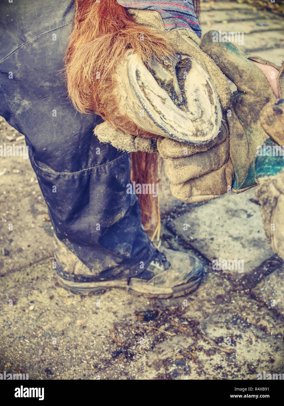 Blacksmith cleaning horse barefooted hoof without horseshoes. Cutting