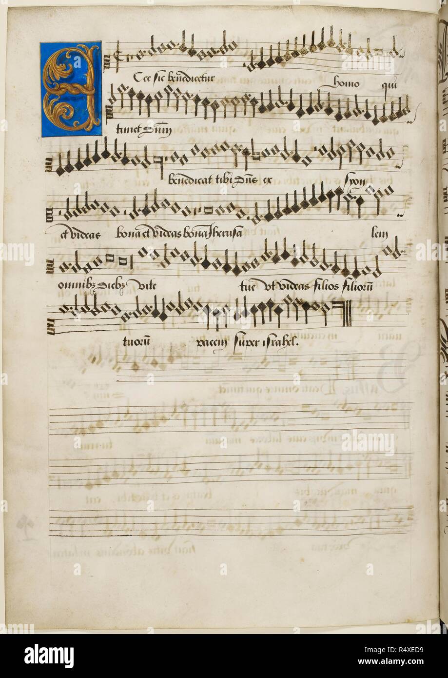 Sheet music for motets decorated, written music with decorated initials and voice parts for a choir. . The Crowned Rose Motets presented to King Henry V111. England. The crowned rose : motets for Henry VIII. Source: Royal 11 E. XI f.16v. Language: English. Stock Photo