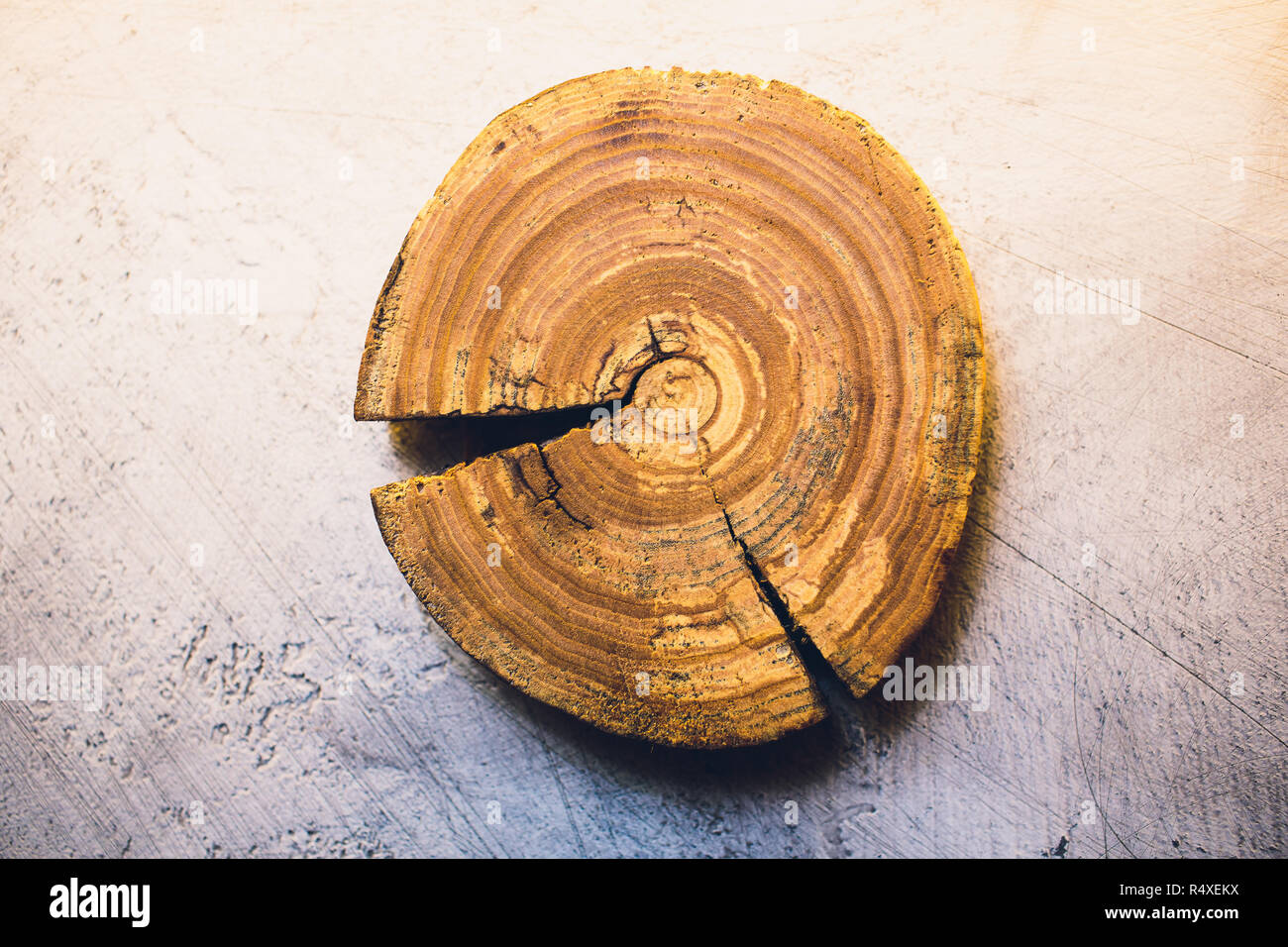 Logging Tree Grids Grid pattern cut tree stump hi-res stock photography and images - Alamy