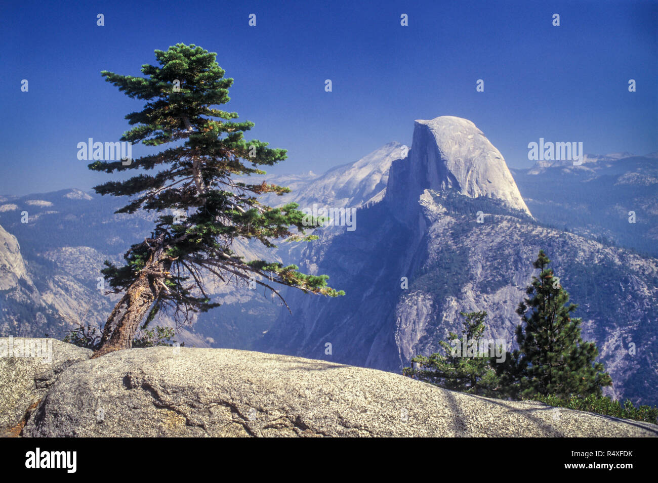 half dome yosemite Stock Photo