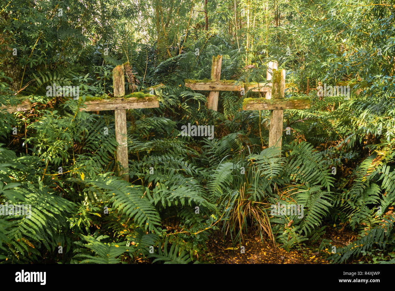 Wood cross in patagonian cemetery in Chile, Caleta Tortel. Dead island in river Baker Stock Photo