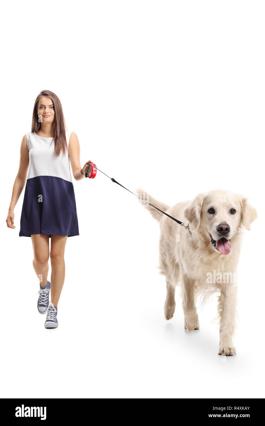 Full length portrait of a young female walking a labrador retriever dog isolated on white background Stock Photo