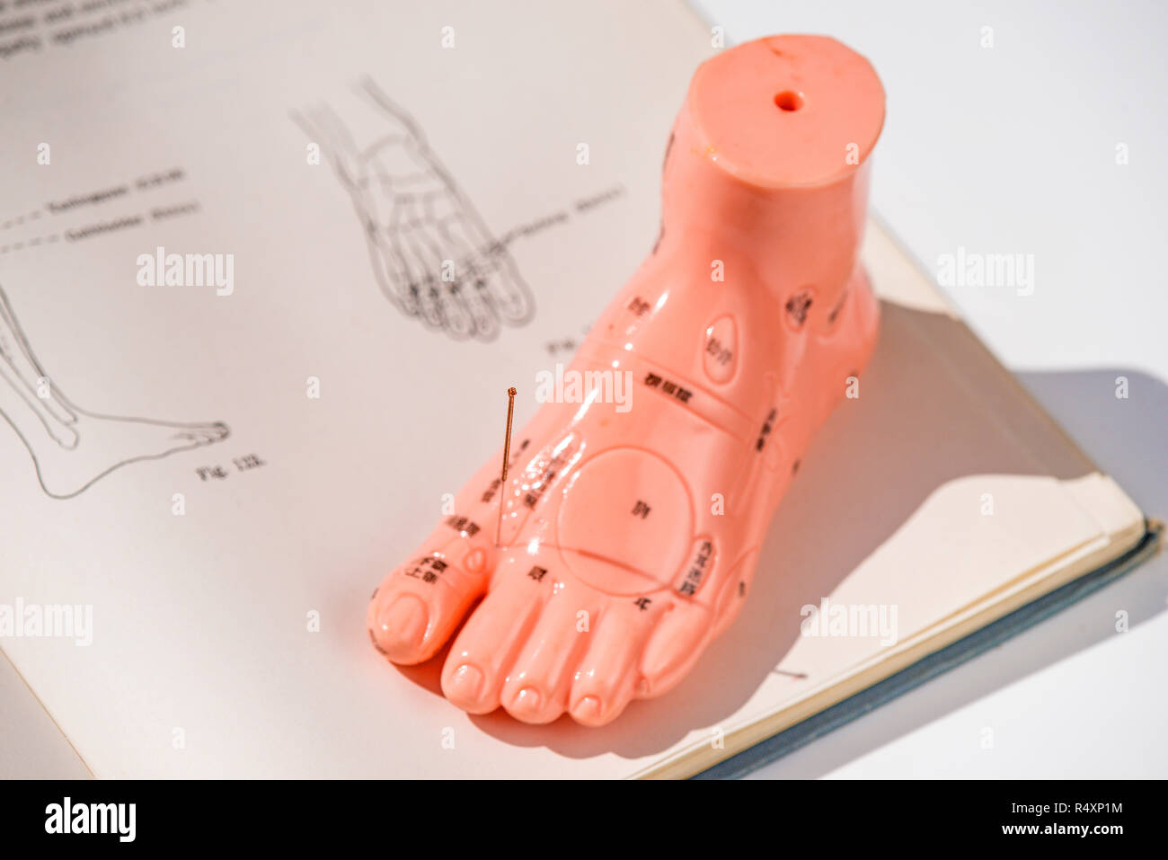 acupuncture model foot with acupuncture needles Stock Photo Alamy