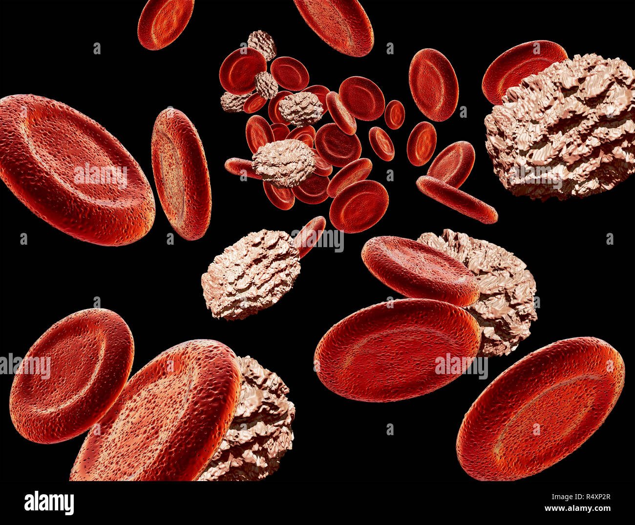 Illustrations human blood, red blood cells,erythrocytes,cholesterol Stock Photo