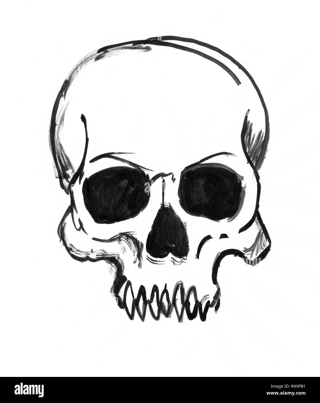 Black Ink Hand Drawing of Human Skull Stock Photo