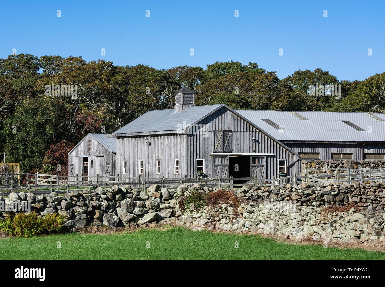 Rustic barn and fieldstone wall, Westport, Massachusetts, USA. Stock Photo