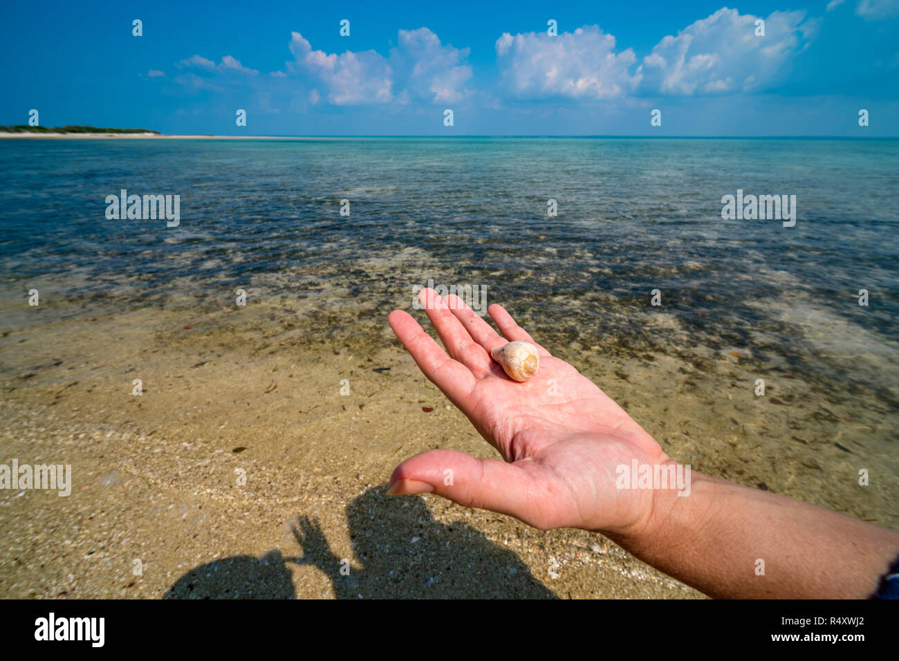 A tourist holds up a shell on a beach on Paradise Island, Mozambique. Stock Photo