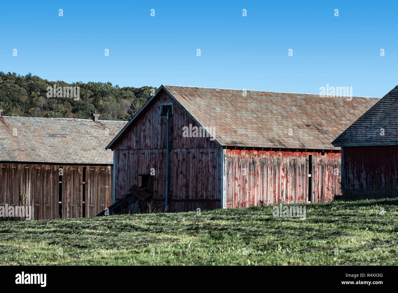 Curing Barn Stock Photos Curing Barn Stock Images Alamy