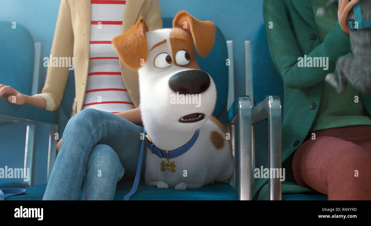 The secret life of pets 2 hi-res stock photography and images - Alamy