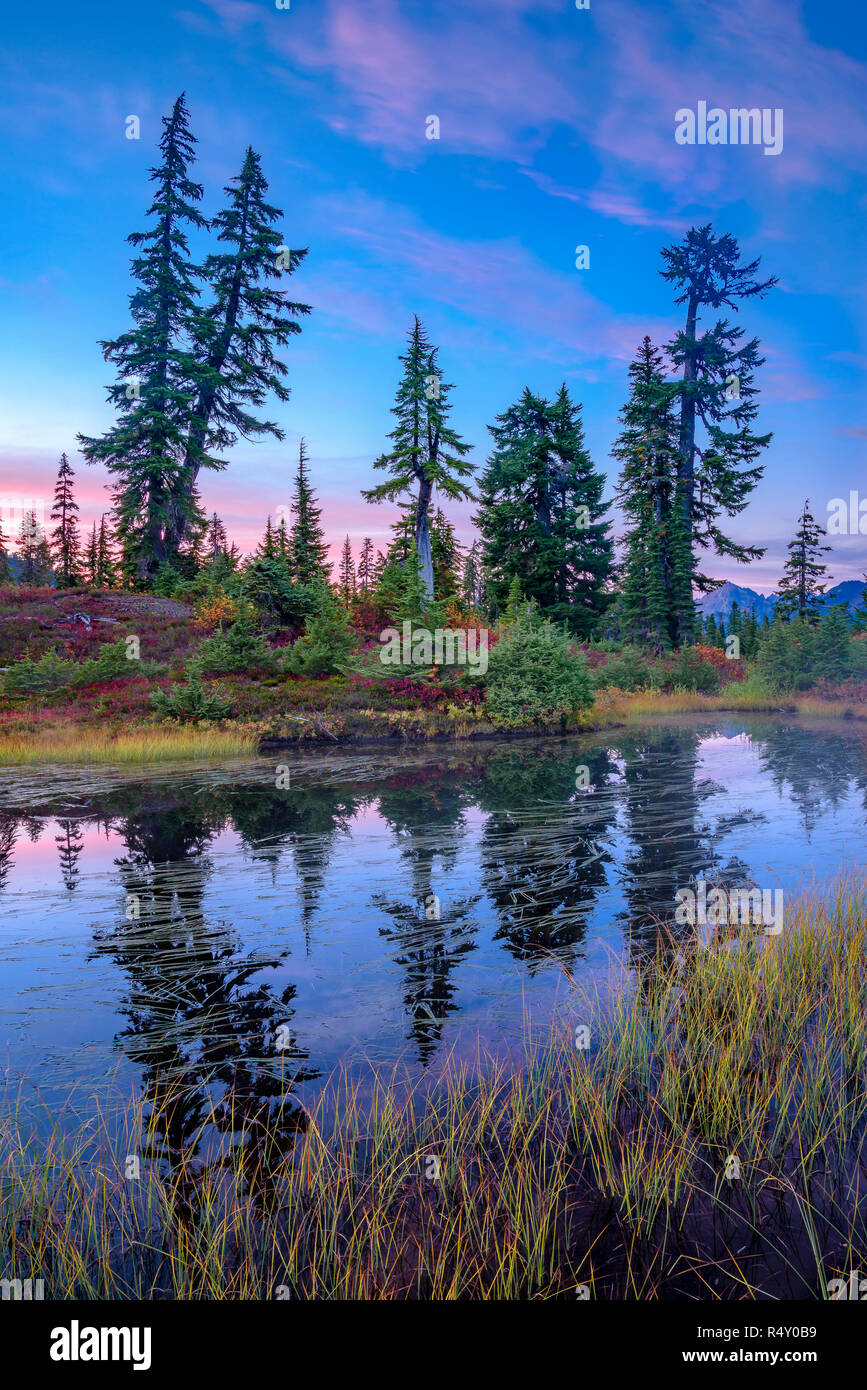 Pond, fall colour.  Mt. Baker-Snoqualmie National Forest, Washington State, USA Stock Photo