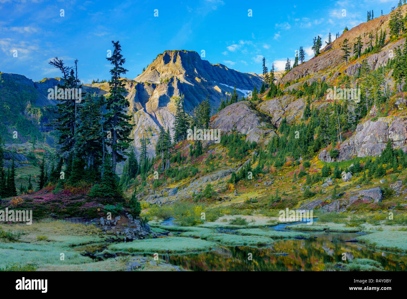 Fall colour.  Mt. Baker-Snoqualmie National Forest, Washington State, USA Stock Photo