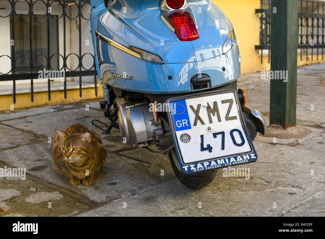 A stray tabby cat sits next to a blue Vespa style motorbike scooter in the Plaka district of Athens, Greece. Stock Photo