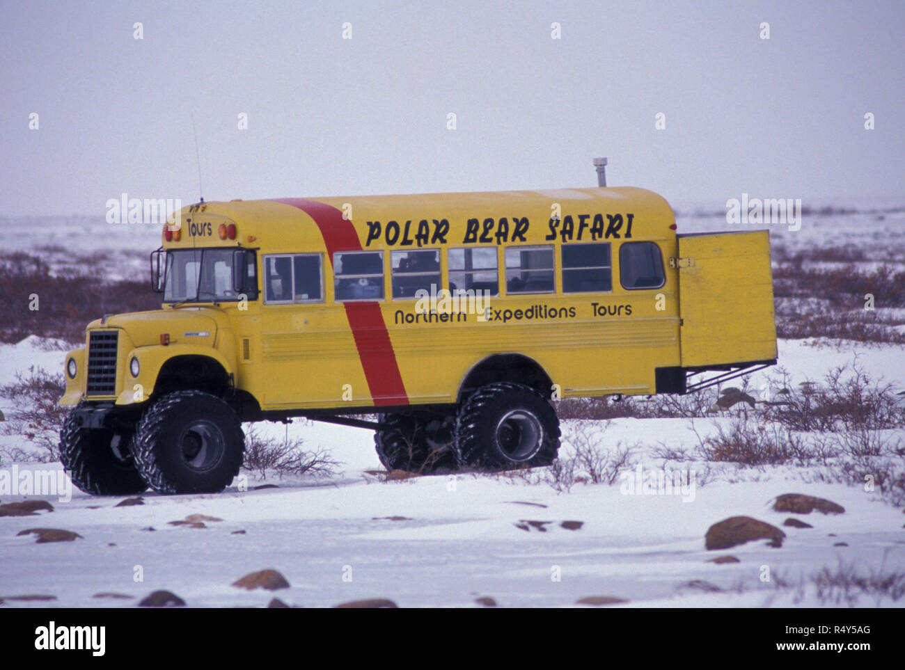 Tundra buggy polar bear hi-res stock photography and images - Alamy