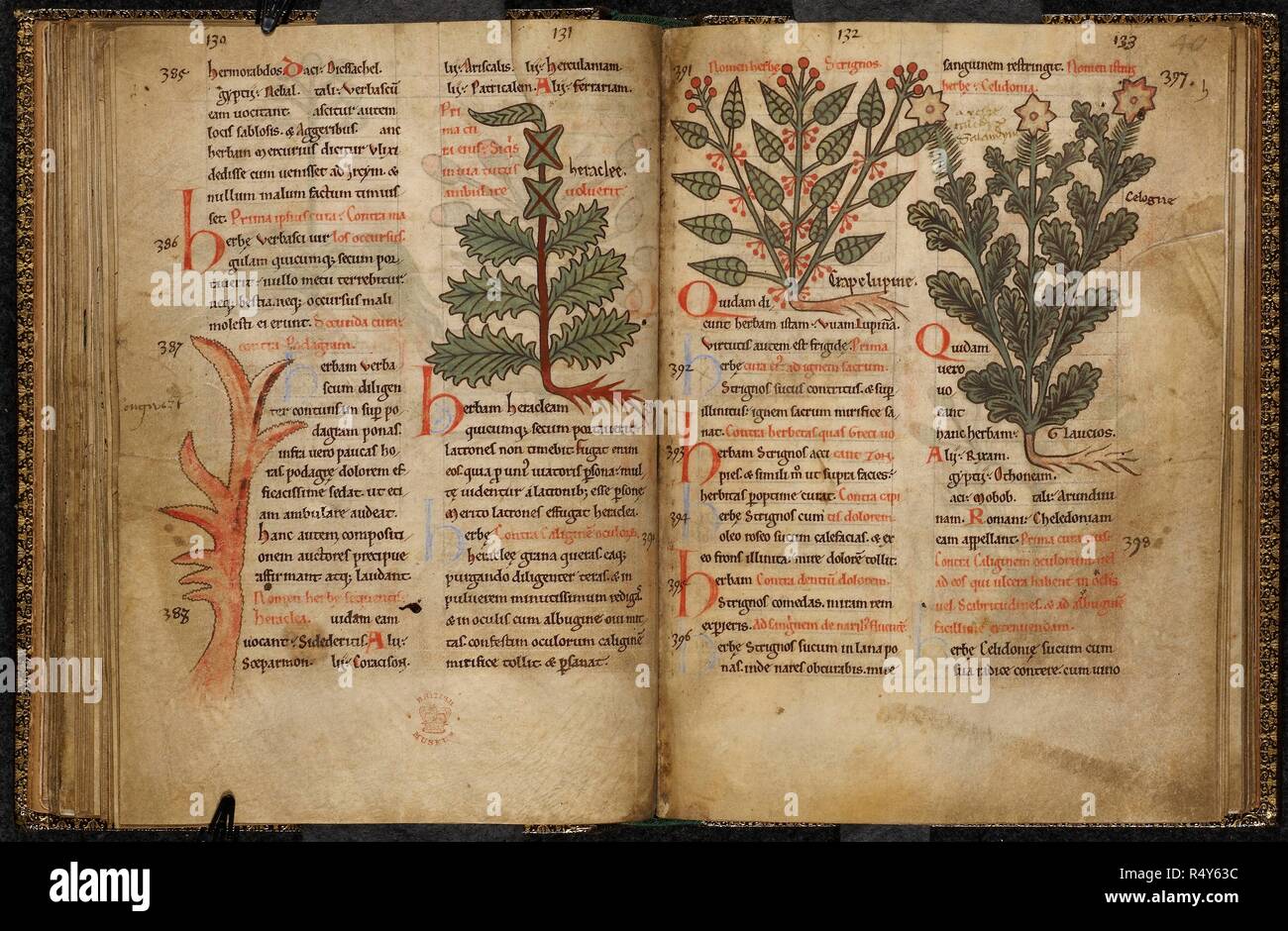 Plants with foliage and flowers. Leaves. A herbal and bestiary  Pharmacopoeia. . Medical miscellany of a pharmacopeial compilation,  including a herbal and bestiary illustrating the pharmocopeial properties  of animals. Netherlands, S (Mosan).