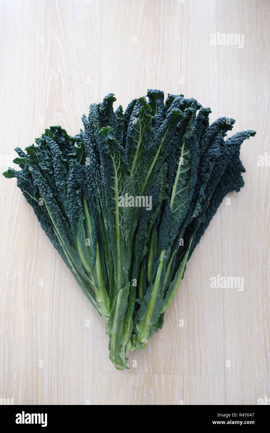 Lacinato kale or known as Tuscan Kale Stock Photo