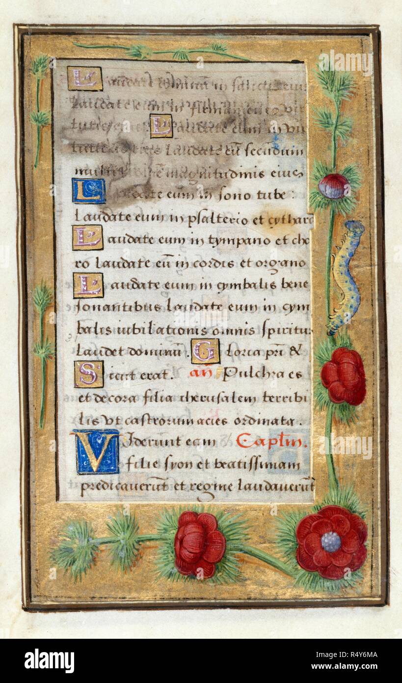Psalm 150. Book of Hours. France; circa 1500. [Whole folio] Office of the Virgin at Lauds. Psalm 150. Borders with trompe l'oeil decoration including red flowers and a caterpillar.  Image taken from Book of Hours.  Originally published/produced in France [Paris]; 1515 - 1520. . Source: Add. 35214, f.44. Language: Latin. Stock Photo