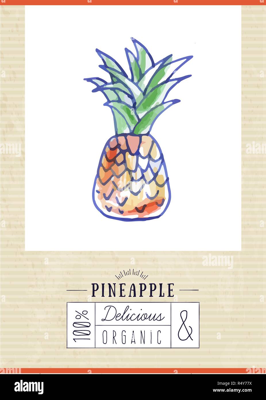 vintage label with hand drawn pineapple Stock Vector