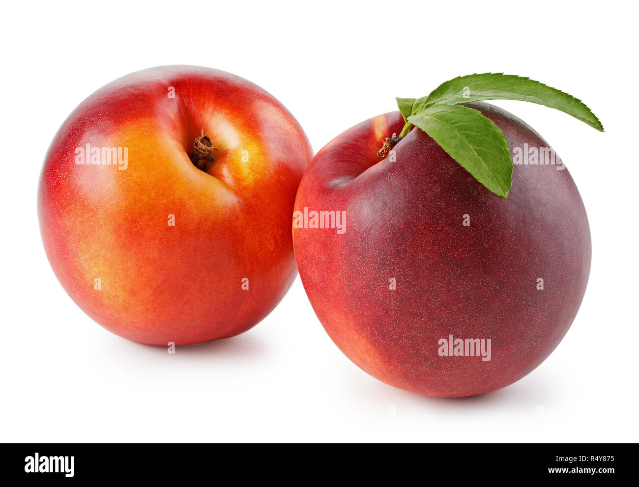 Peaches or nectarines with leaf isolated on white background Stock Photo