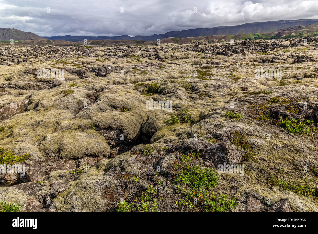 Volcanic lava landscape in Iceland. Stock Photo