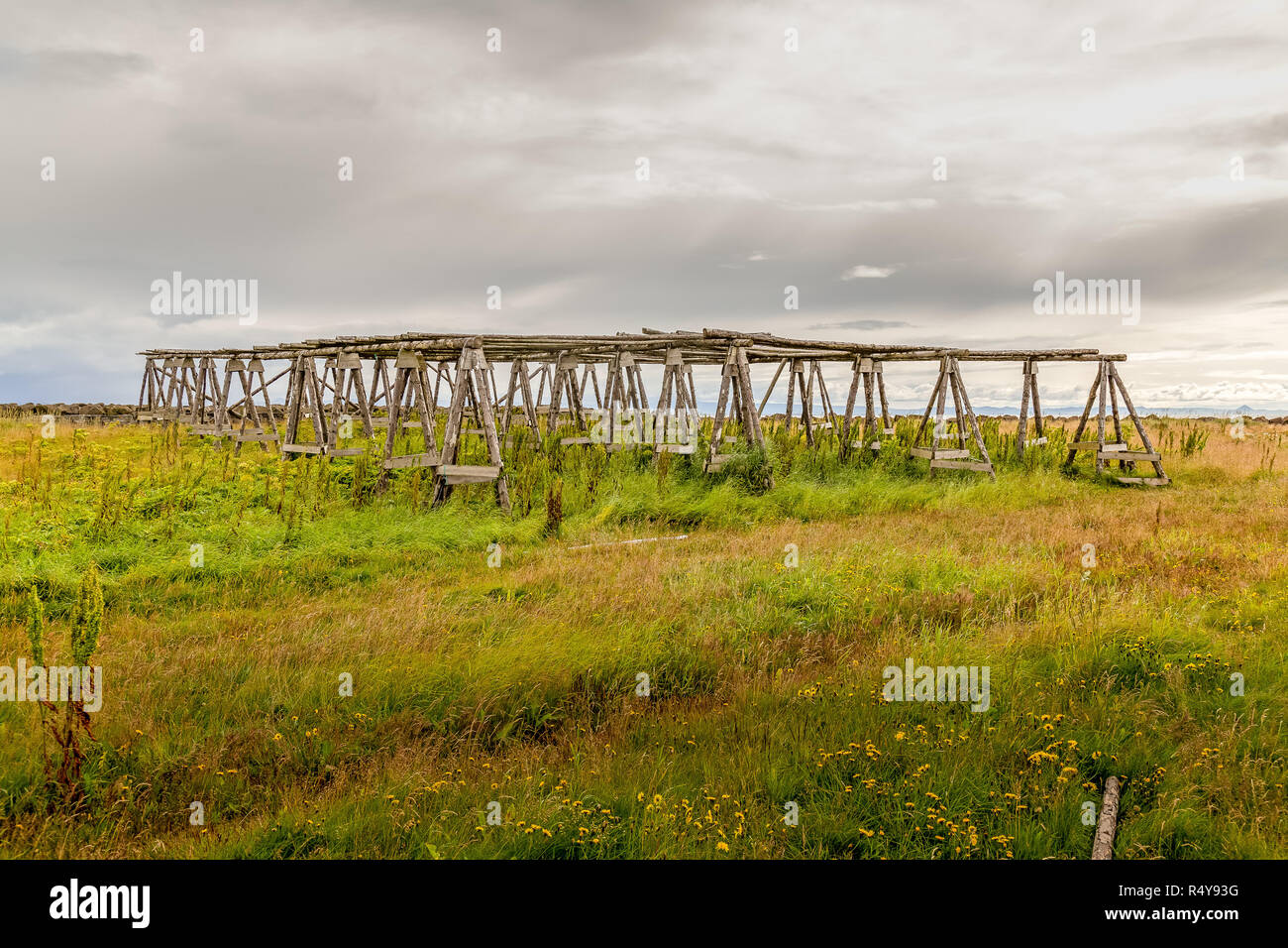 Old fish drying stacks at Akranes in Iceland Stock Photo - Alamy
