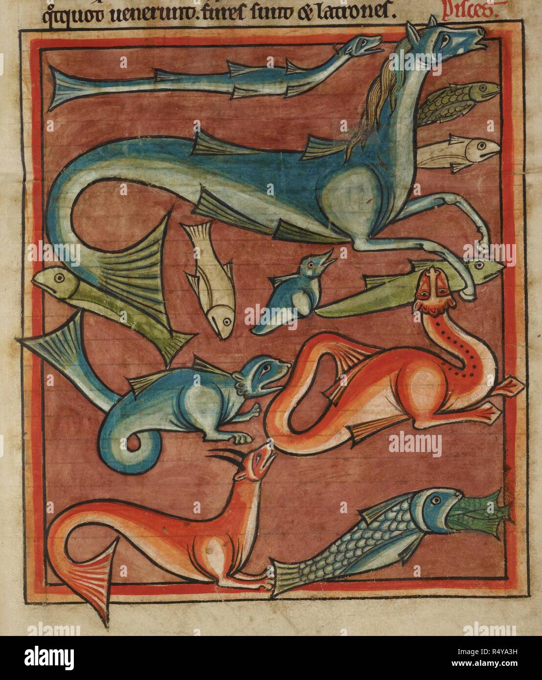 Fish and other aquatic creatures. Bestiary. England (Salisbury?); 1230-1240. (Miniature) Fish and other aquatic creatures, real and imaginary, including eels and a seahorse.  Image taken from Bestiary.  Originally published/produced in England (Salisbury?); 1230-1240. . Source: Harley 4751, f.68. Language: Latin. Stock Photo