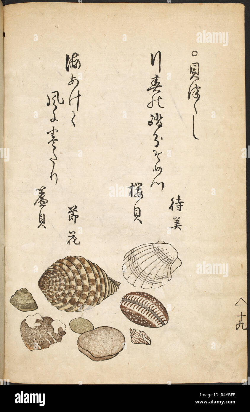 Umi no sachi the bounty of the sea hi-res stock photography and images ...